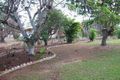 Property photo of 142 Constance Street Mareeba QLD 4880