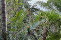 Property photo of 166 Broadwater Esplanade Bilambil Heights NSW 2486