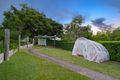 Property photo of 49 Cressey Street Wavell Heights QLD 4012