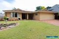 Property photo of 34 Williamson Road Kardinya WA 6163