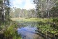 Property photo of 34 White Rocks Road Collombatti NSW 2440