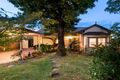 Property photo of 49 Parkmore Road Bentleigh East VIC 3165