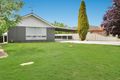 Property photo of 14 Amos Avenue Benalla VIC 3672