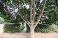Property photo of 37 Avenue Road Highgate SA 5063