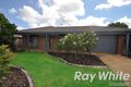 Property photo of 11 Stringbark Avenue Craigmore SA 5114