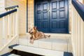 Property photo of 12A Toolara Street The Gap QLD 4061