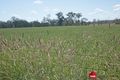 Property photo of 114 A Creek Road Grosvenor QLD 4627