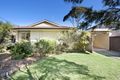 Property photo of 27 Tulich Avenue Dee Why NSW 2099