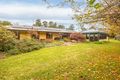 Property photo of 280 Daisy Hill Road Buckajo NSW 2550