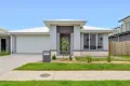Property photo of 49 Madeleine Street Nirimba QLD 4551