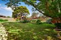 Property photo of 98 Dorking Road Box Hill North VIC 3129