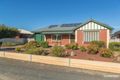 Property photo of 19 Para Avenue Nuriootpa SA 5355