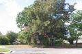 Property photo of 593 Henry Lawson Drive East Hills NSW 2213