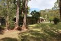 Property photo of 98 Koree Street Pindimar NSW 2324