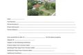 Property photo of 8 Jones Road Withcott QLD 4352