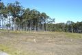Property photo of 22 Nadine Street Sanctuary Point NSW 2540