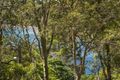 Property photo of 79 Patrick Street Avalon Beach NSW 2107