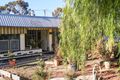 Property photo of 19 Queen Elizabeth Drive Barmera SA 5345