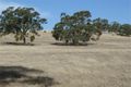 Property photo of 10 Noble Road Stanley Flat SA 5453