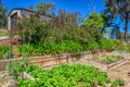 Property photo of 8 Peregrine Place Wodonga VIC 3690