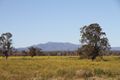 Property photo of 3 Queen Elizabeth Ii Avenue Narrabri NSW 2390
