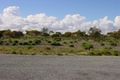 Property photo of LOT 137 Meeinderry Drive Perlubie SA 5680