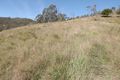 Property photo of LOT 76 Carrowbrook Road Carrowbrook NSW 2330