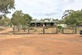 Property photo of 200 Stonehenge Road Leyburn QLD 4365