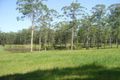 Property photo of 85 Gun Gully Road Upper Lansdowne NSW 2430