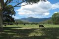 Property photo of 205 Wilson Road Clumber QLD 4309