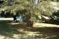 Property photo of 6 Native Plains Road Railton TAS 7305