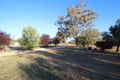 Property photo of 2610 Burrendong Way Kerrs Creek NSW 2800