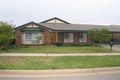 Property photo of 11 Alexander Street Royal Park SA 5014