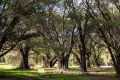 Property photo of 17 Gidgee Road Witchcliffe WA 6286