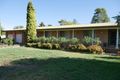 Property photo of 19 Lillypilly Road Leeton NSW 2705