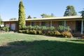 Property photo of 19 Lillypilly Road Leeton NSW 2705