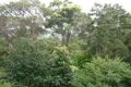 Property photo of 16 Rowena Road Narraweena NSW 2099