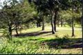 Property photo of 15 Brookside Place Lota QLD 4179
