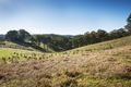 Property photo of 135 Alma Road Panton Hill VIC 3759