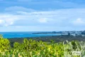 Property photo of 42 Walter Crescent Banora Point NSW 2486