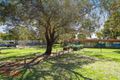 Property photo of 17 Rambures Way Hamilton Hill WA 6163