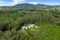 Property photo of 57 Sharwill Drive Valla NSW 2448