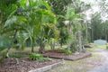 Property photo of 5 Adriano Court Palmview QLD 4553