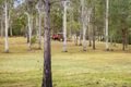 Property photo of 123 Shadbolt Road Mothar Mountain QLD 4570