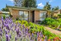 Property photo of 4/1 Howard Street Gawler SA 5118