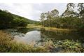 Property photo of 31 McIntyre Road Neusa Vale QLD 4570