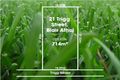 Property photo of 21 Trigg Street Blair Athol SA 5084