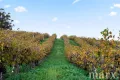 Property photo of 8989 Sturt Highway Paisley SA 5357