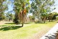 Property photo of 38 Seabrook Street Dianella WA 6059