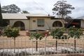 Property photo of 387 Anzac Road Risdon Park SA 5540